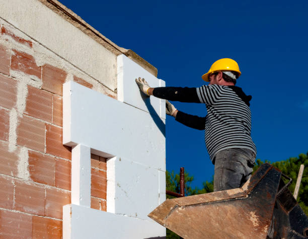 Best Energy-efficient Insulation  in Angleton, TX