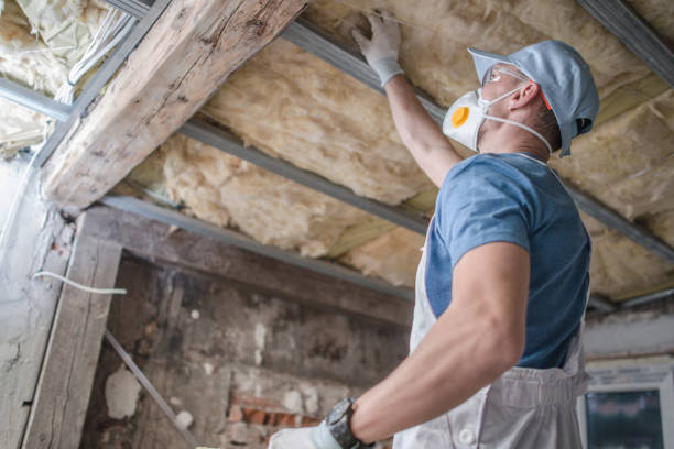 Best Insulation for New Construction  in Angleton, TX