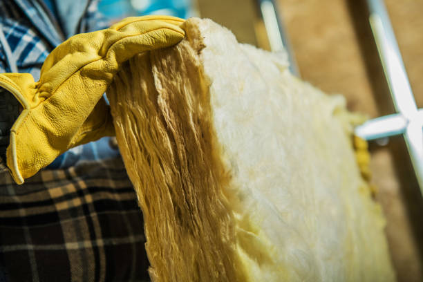 Best Crawl Space Insulation  in Angleton, TX