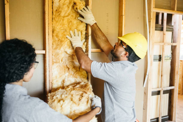 Best Spray Foam Insulation  in Angleton, TX