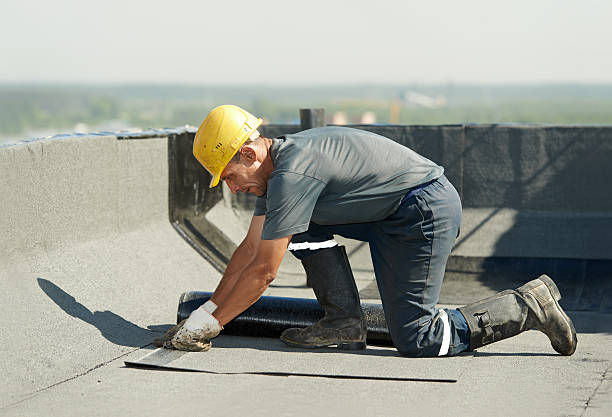 Best Insulation Repair Services  in Angleton, TX