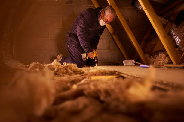 Best Local Insulation Services  in Angleton, TX