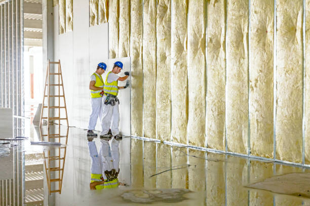 Best Insulation Contractors for Homes  in Angleton, TX